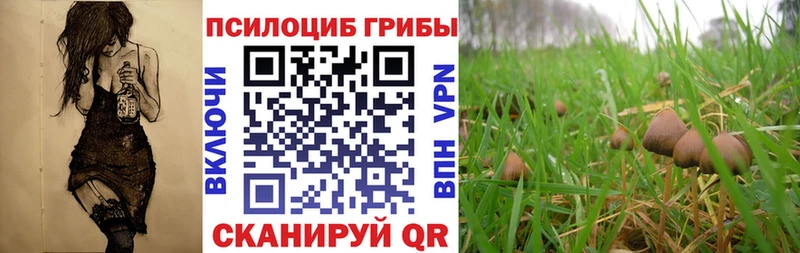 Галлюциногенные грибы мицелий  Тула 